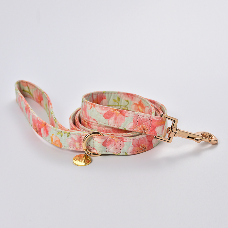 Dog collar-Morning Glory