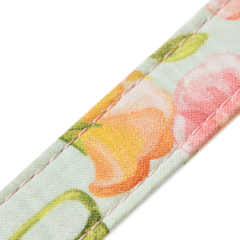Dog collar-Morning Glory