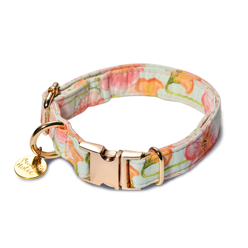 Dog collar-Morning Glory