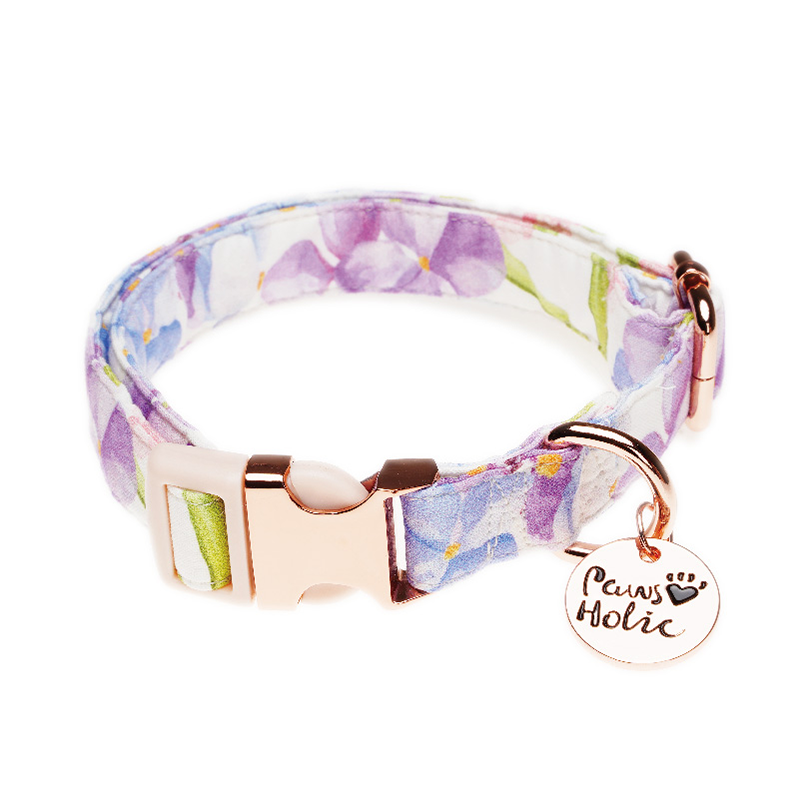 Dog collar-Endless Summer