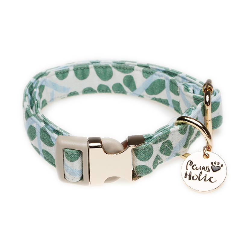 Dog collar-Minty Dew