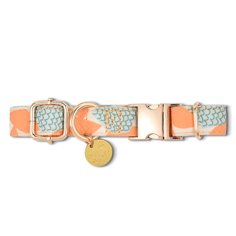 Dog collar-Loquat Tree