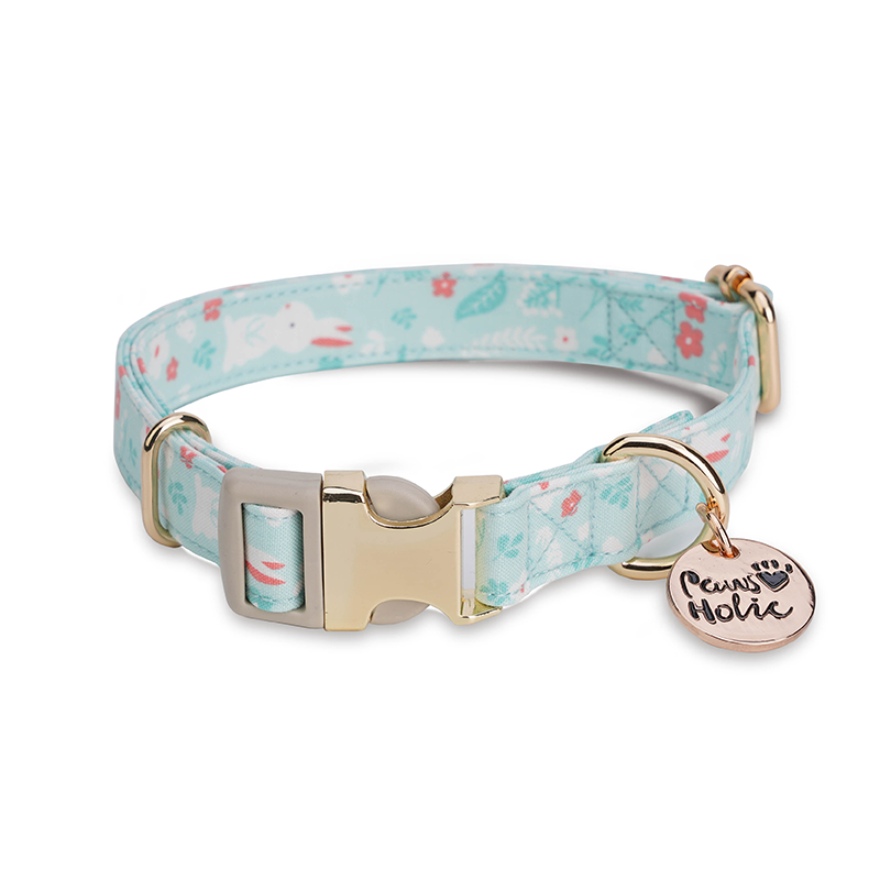 Dog collar-Snow Hare